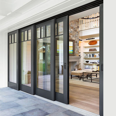 Porte en verre d'aluminium trempé isolé personnalisé avec profil lourd