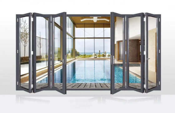 Résistant aux typhons Porte double en aluminium noir avec profil épais