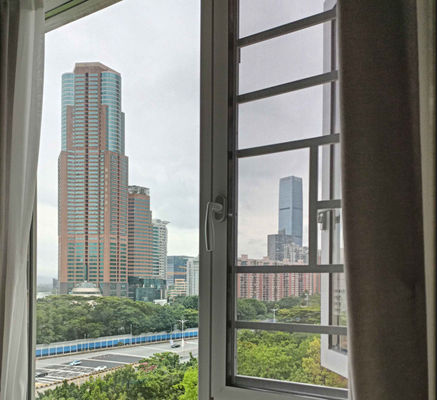 Fenêtre d'oscillation en aluminium double vitrage personnalisée