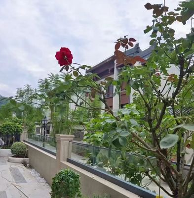 Barrière en verre en aluminium U-canal extérieur sans cadre